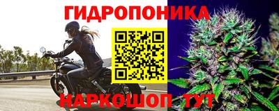 ГАЛЛЮЦИНОГЕННЫЕ ГРИБЫ Первоуральск